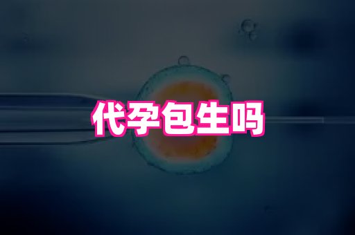 69助孕网 3