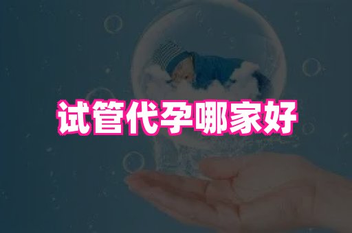 69助孕网 4
